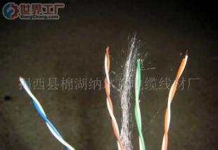 跨境通訊利器 安普納爾克網絡線與全網供應基石